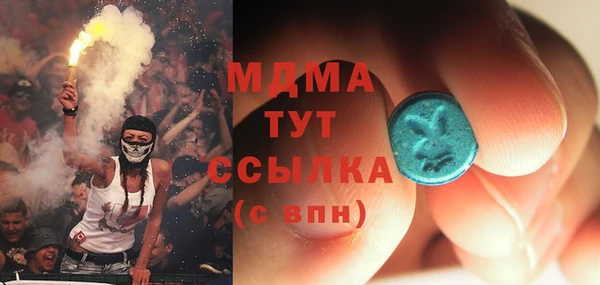 индика Алексин
