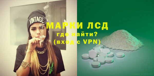 индика Алексин