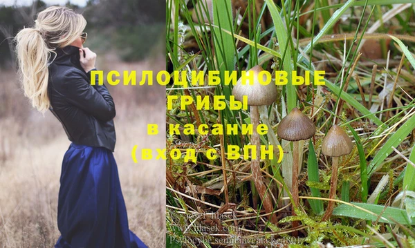 индика Алексин