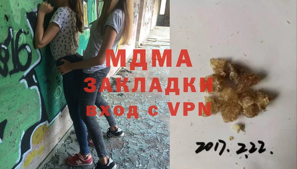 индика Алексин