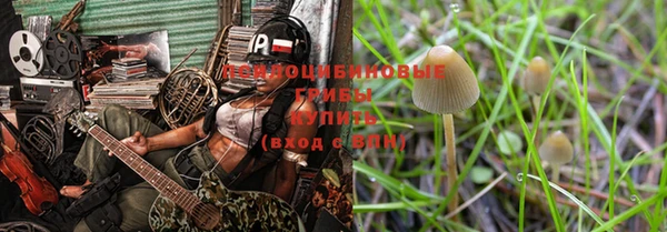индика Алексин