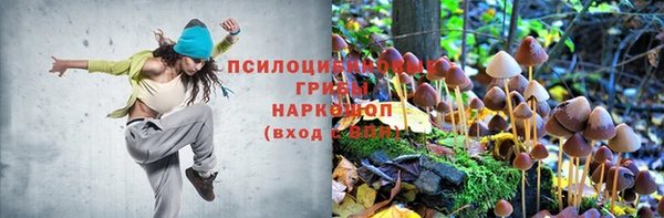 2c-b Алексеевка
