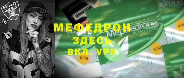 индика Алексин
