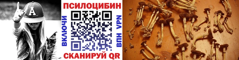купить наркотик  Липки  Галлюциногенные грибы мухоморы 